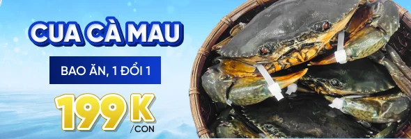 Banner quảng cáo 01