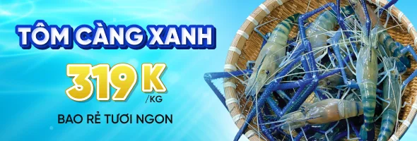 Banner quảng cáo 02